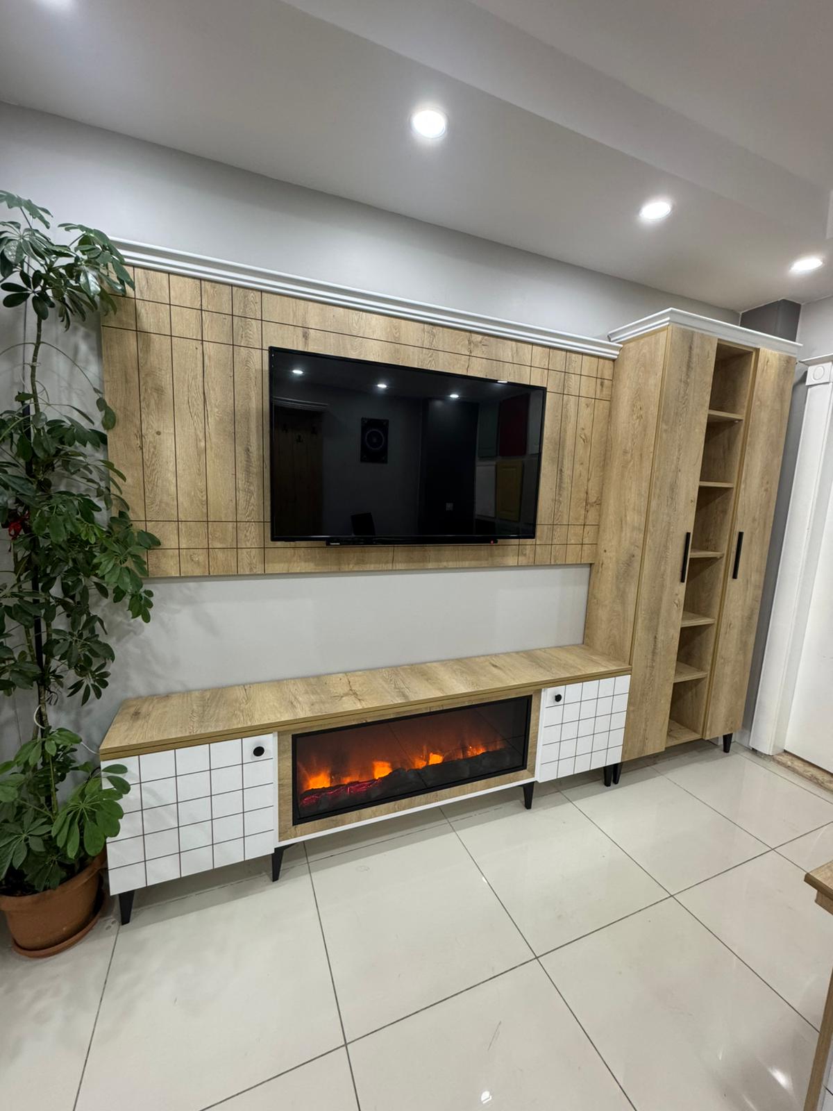 TV Ünitesi 2